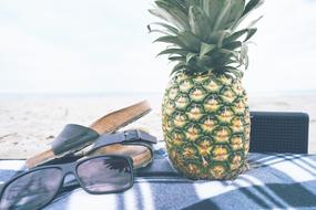 Pineapple Picnic