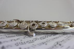 Music Flute Instrument