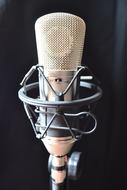 pink Condenser Microphone