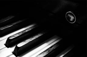 Piano Keys in darkness close up