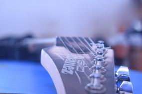 macro photo of the head of a reclining guitar