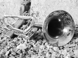brass instrument on gravel, black and white