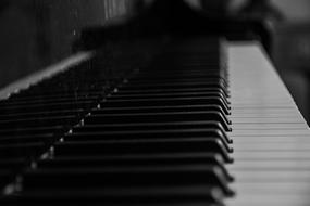 black and white photo of the keys of a professional piano