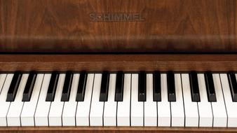 Keys of brown Piano