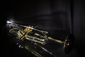 trumpet lying on the black floor