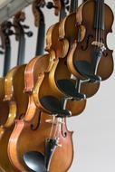 many violins for sale