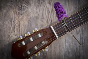 Flower and guitar