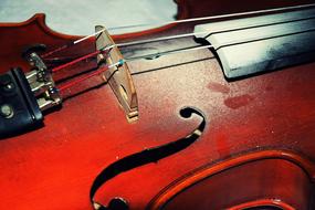 Strings of Classical Old Violin, detail