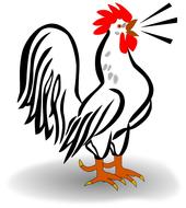 drawn farm rooster