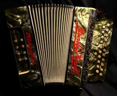 nice Accordion Ziehhamonika