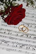 red rose and wedding rings on a sheet of music