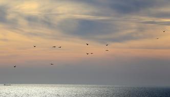 Beautiful waterscape with the birds flying at colorful sunset, under the clouds