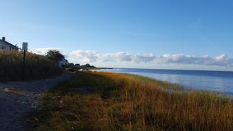 Wild Beach with colorful plants on Clinton Harbor under blue sky with white clouds, USA, Connecticut, Long Island