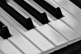 white and black piano keys close up