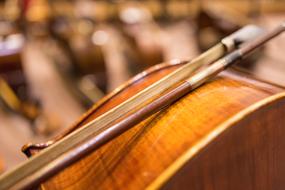 body of Classic cello, detail