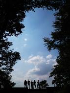 Tree Nature and people
