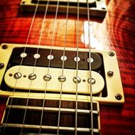 photo of musical instrument strings