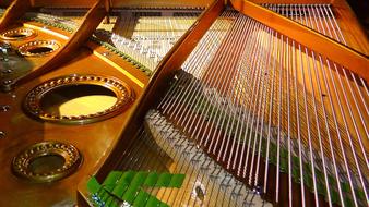 wood Piano Strings close-up