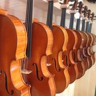 shop stand with violins
