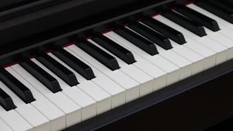 Piano Key white black