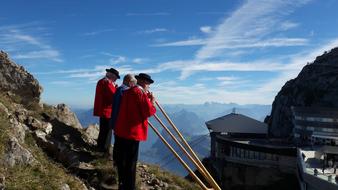 Alphorn Musical Instrument
