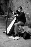 Harpist, street musician