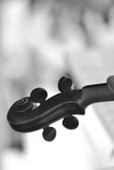 Music Event