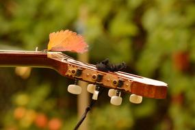 Guitar Neck Musical and leaf