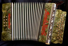 vintage Accordion Ziehamonika