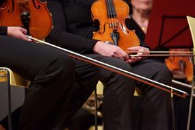 Violin String Musical persons