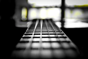 macro Guitar Black and White