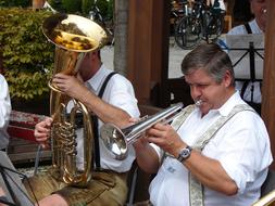 musicians in the orchestra at the village festival