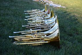 Beautiful, shiny musical horns on the green grass, in shadow, near the light