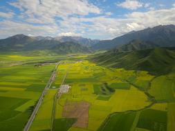 aerial view of farmland at summer