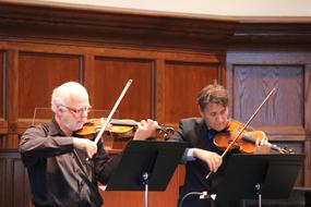 Violin Orchestra people