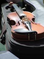 brown Violin music Instrument
