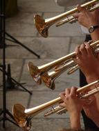 trumpet players