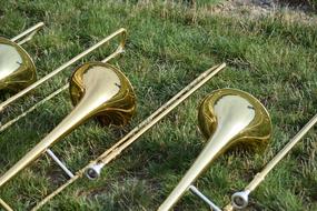 gold Musical horn Instruments on the green grass