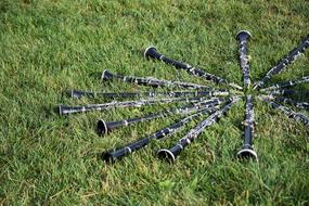 Music Instrument green grass