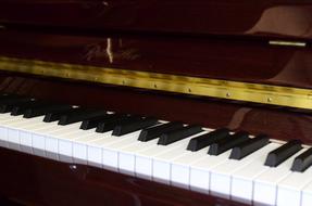 Pianoforte Music