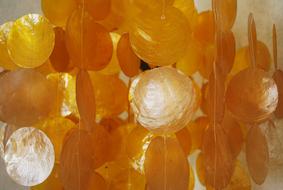 lot of yellow round objects hanging on threads