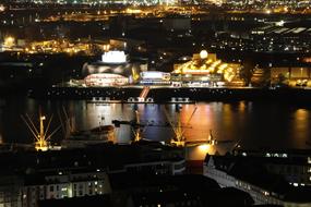 Hamburg Elbe Lion King night