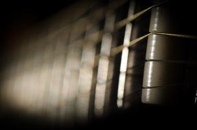 Neck of Guitar, detail