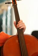 Cello Musical Instrument