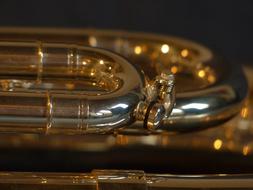 gold shine Brass Instrument