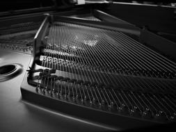 black and white picture of musical strings
