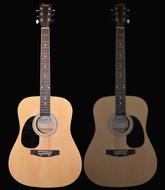 two Guitar Acoustic Instrument