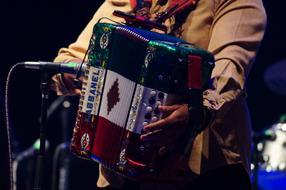 Instrument Accordion person