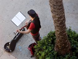 Street Musicians Guitar tree