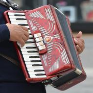 Harmonica Music Instrument red